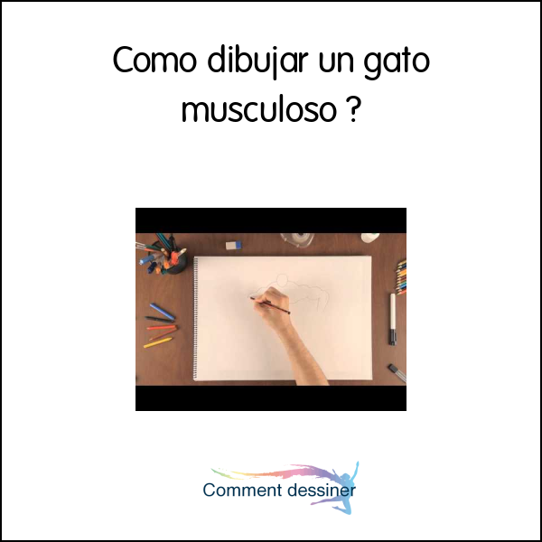 Como dibujar un gato musculoso